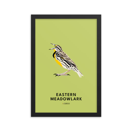 Eastern Meadowlark Poster