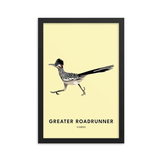 Greater Roadrunner Poster