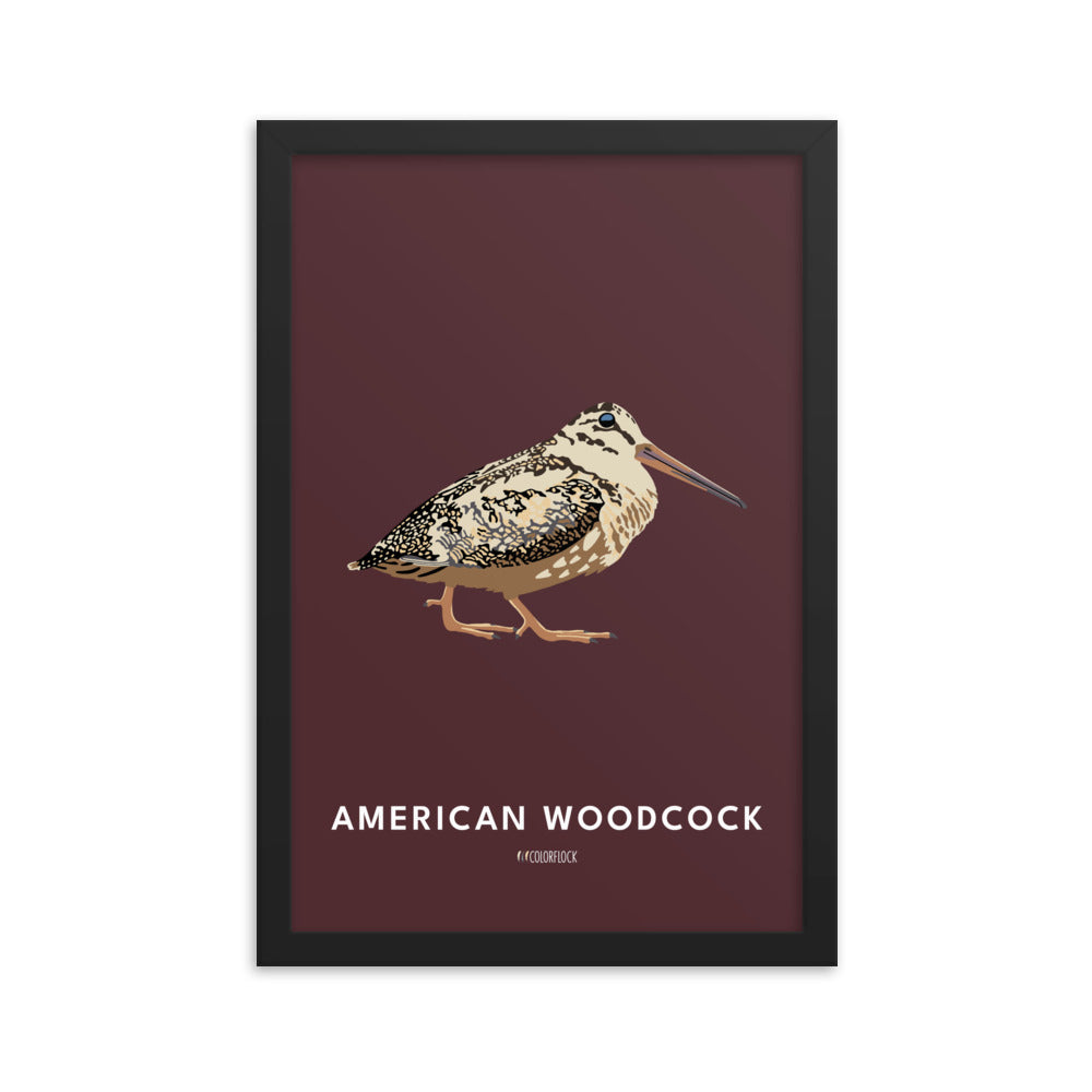 American Woodcock Poster