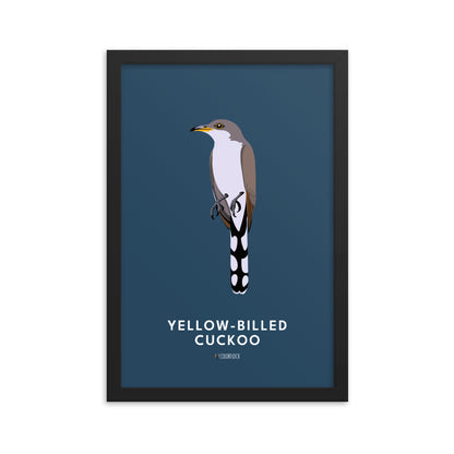 Yellow-Billed Cuckoo Poster