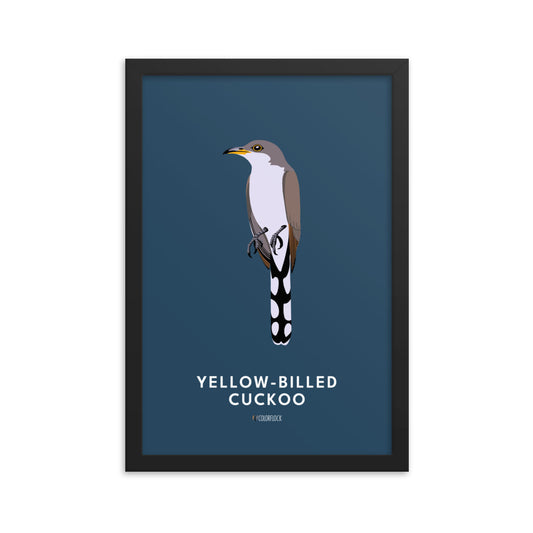 Yellow-Billed Cuckoo Poster