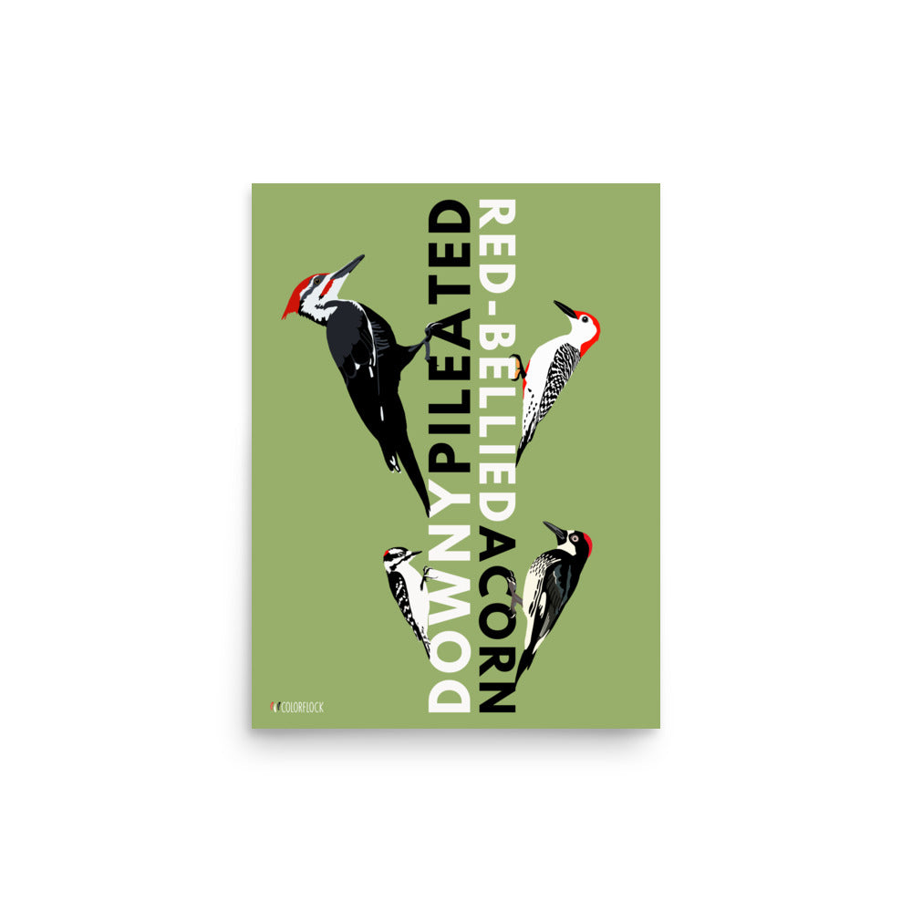 Special Edition Woodpeckers Poster