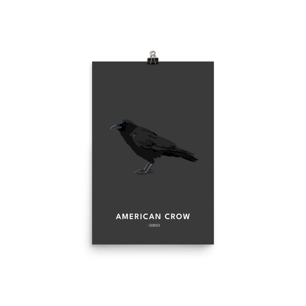 American Crow Poster