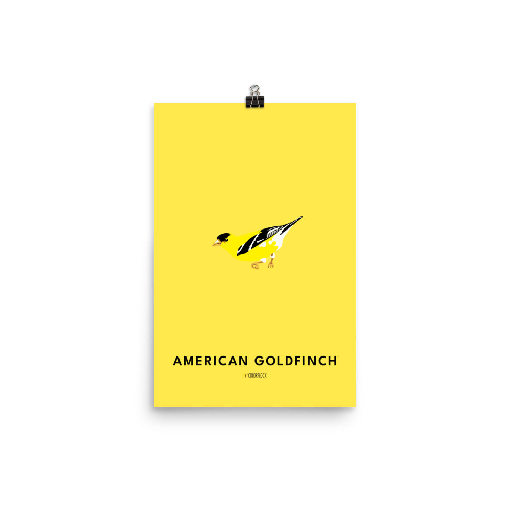 American Goldfinch Poster