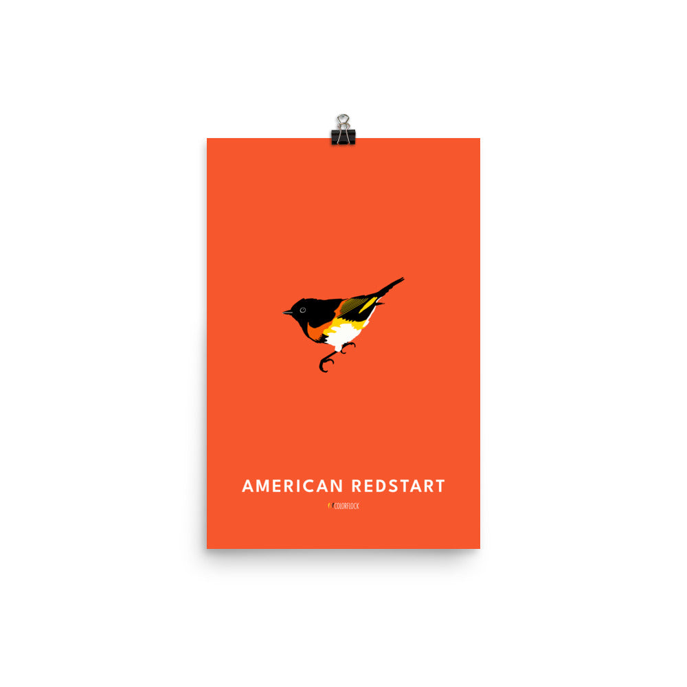 American Redstart Poster