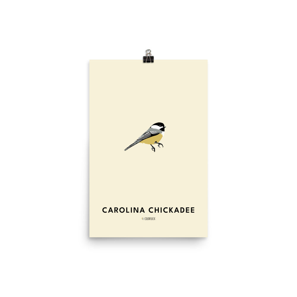 Carolina Chickadee Poster