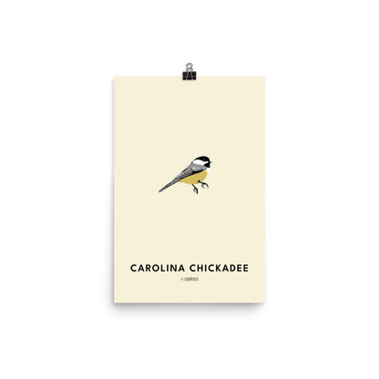 Carolina Chickadee Poster