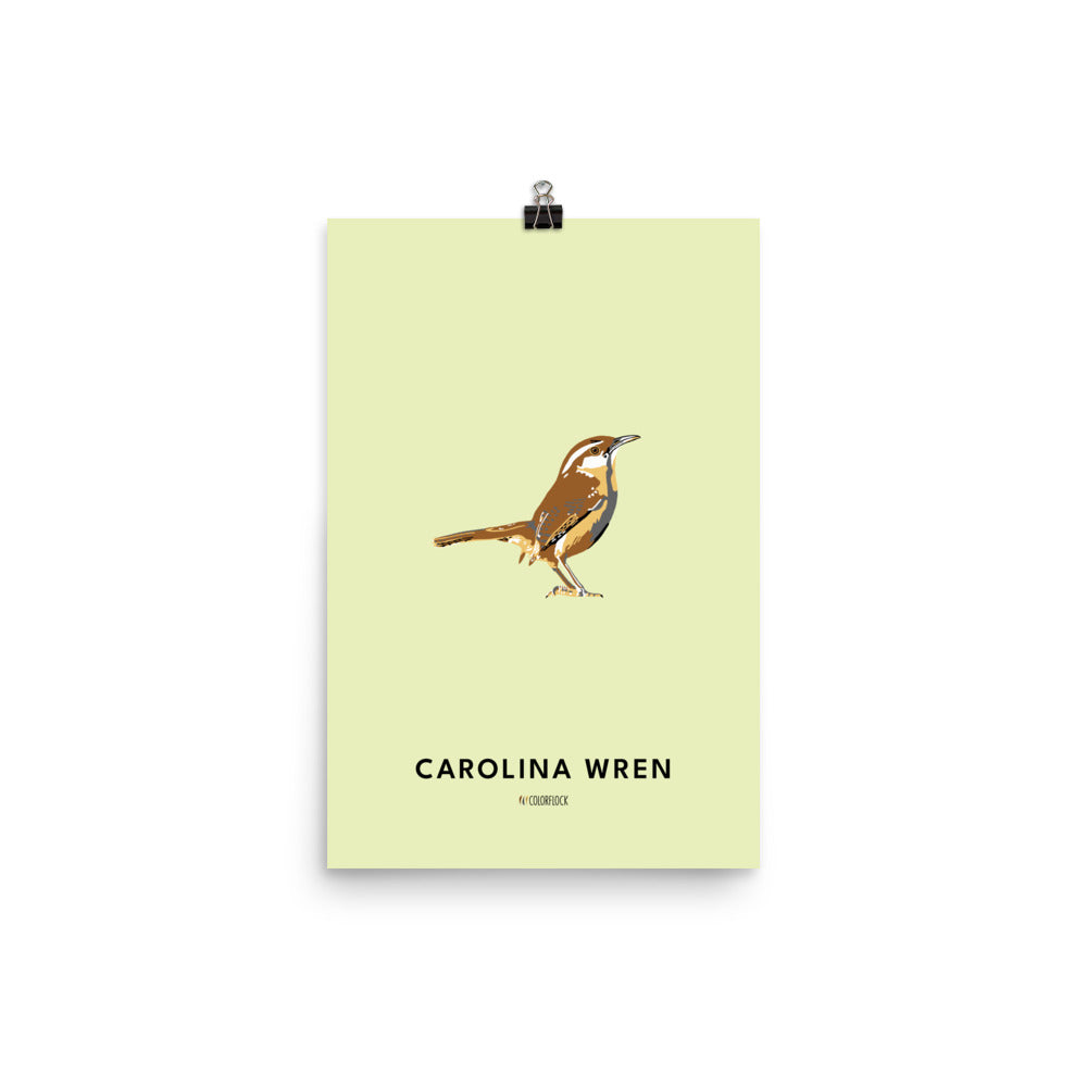 Carolina Wren Poster