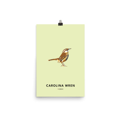 Carolina Wren Poster