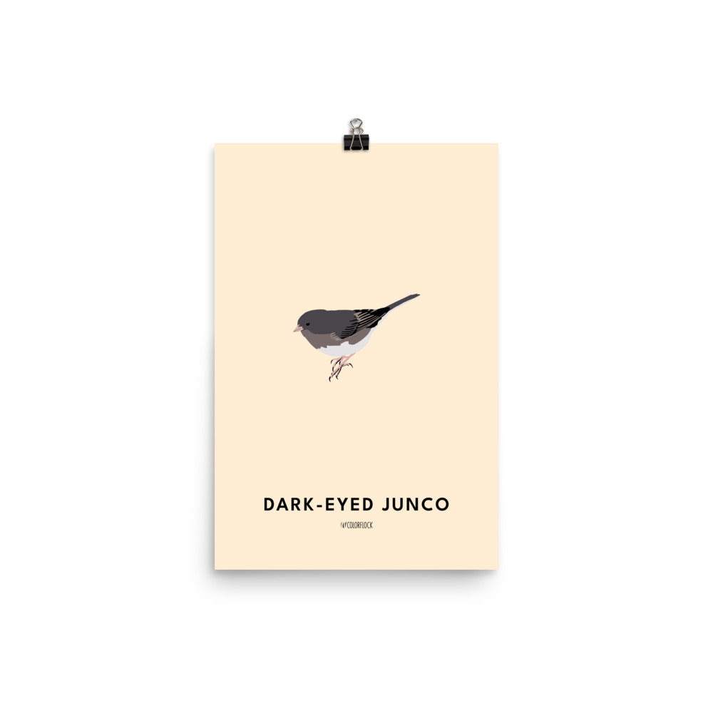 Dark-eyed Junco Poster