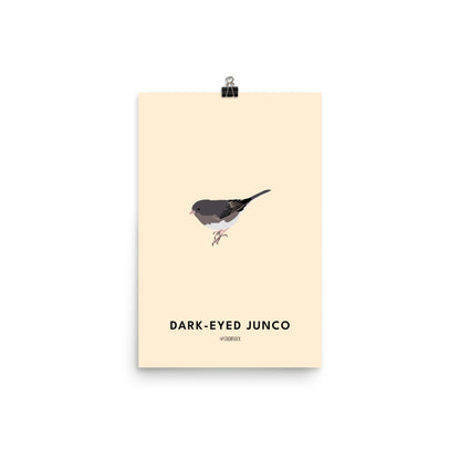 Dark-eyed Junco Poster