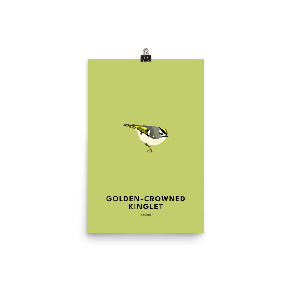 Golden-crowned Kinglet Poster