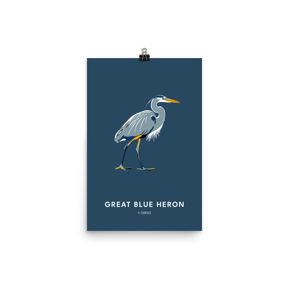 Great Blue Heron Poster