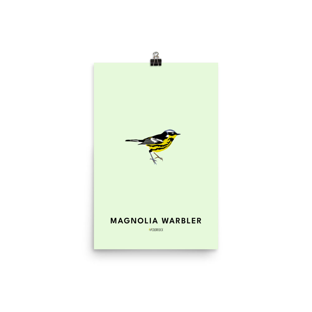 Magnolia Warbler Poster