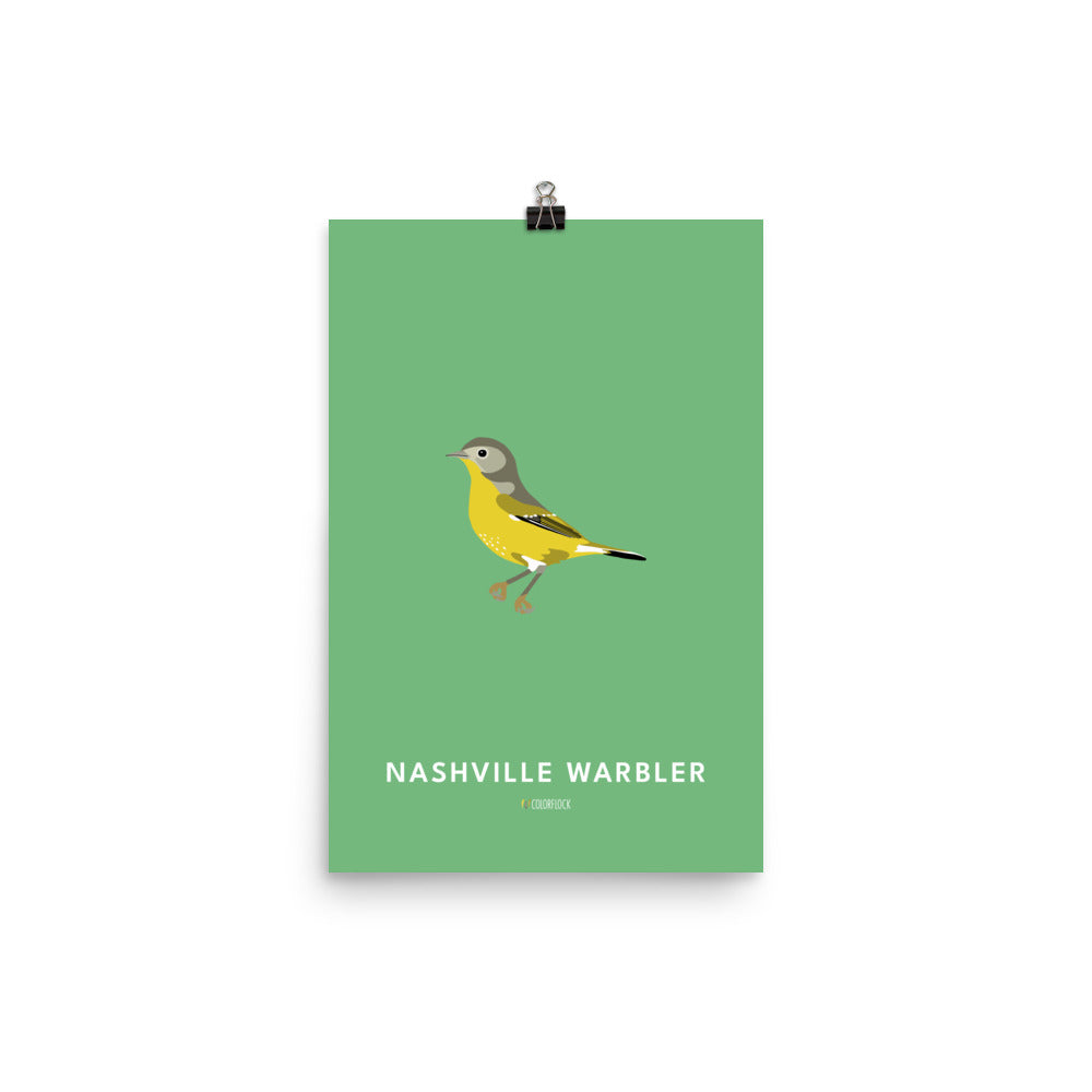 Nashville Warbler Poster