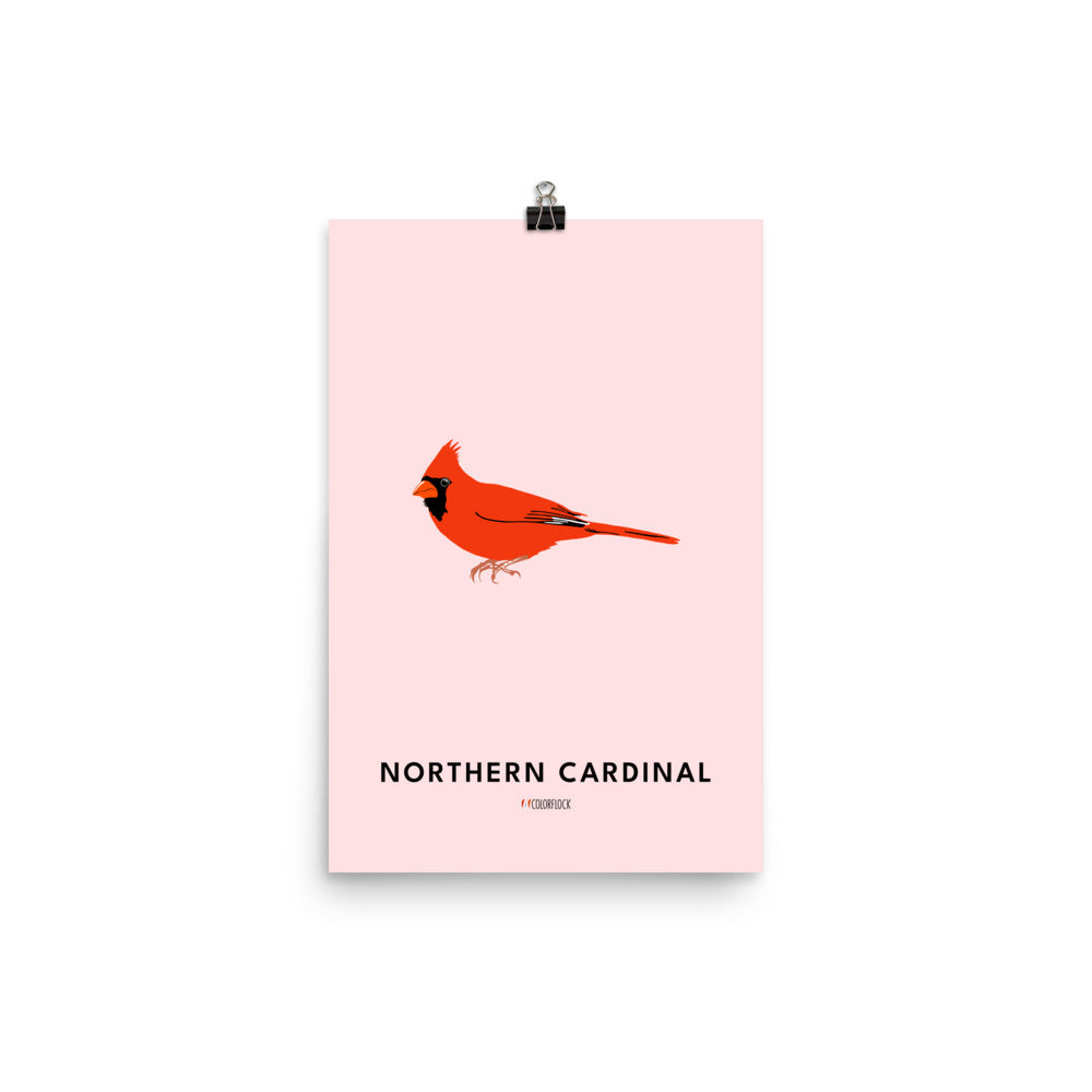 Northern Cardinal Poster