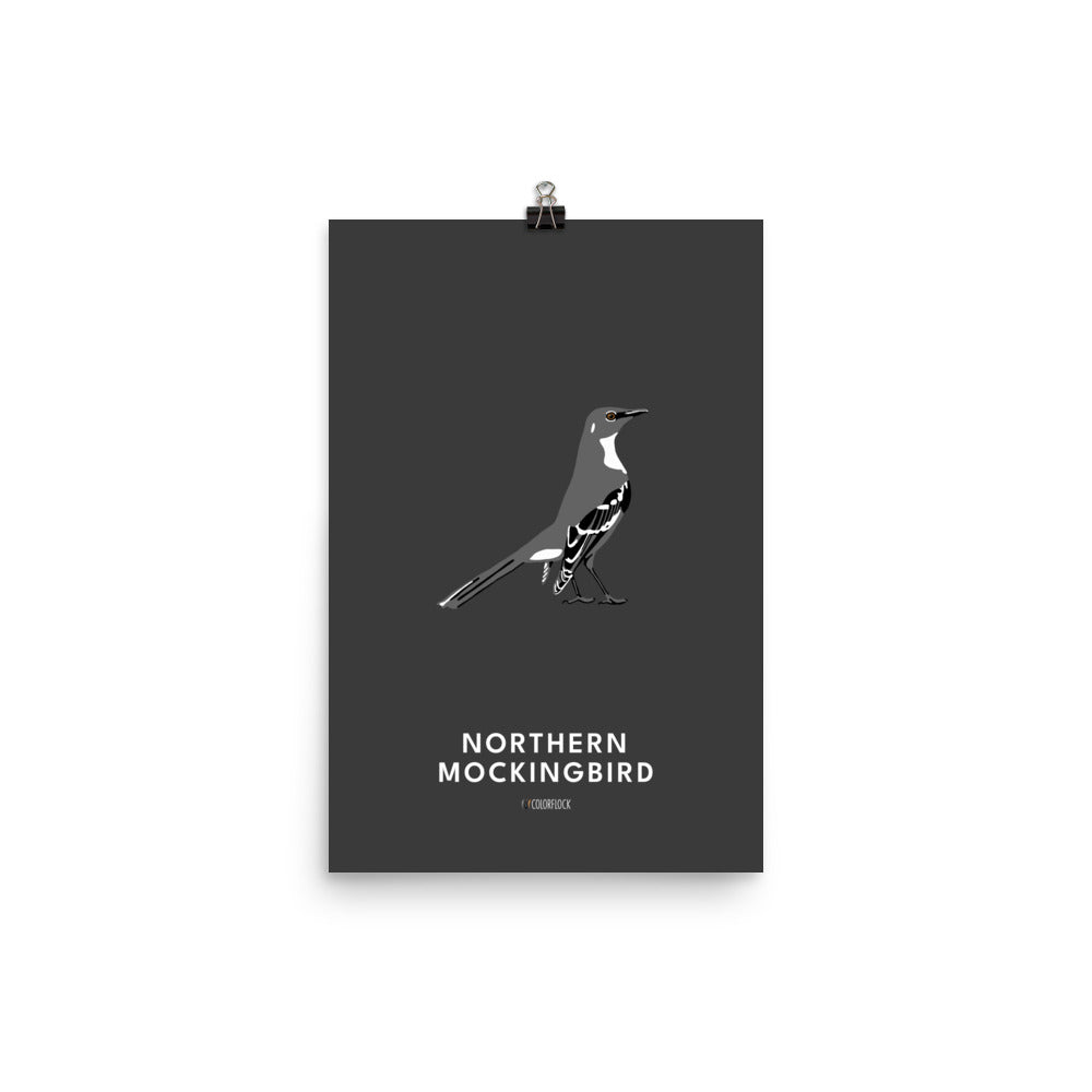 Northern Mockingbird Poster