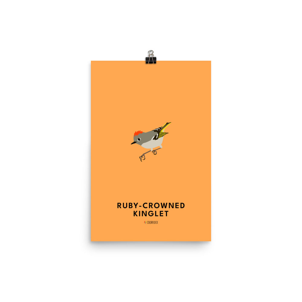 Ruby-crowned Kinglet Poster