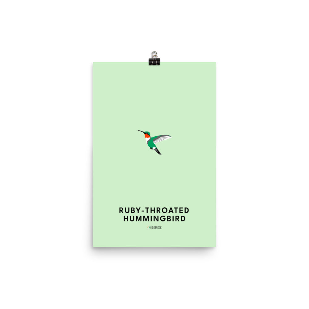 Ruby-throated Hummingbird Poster