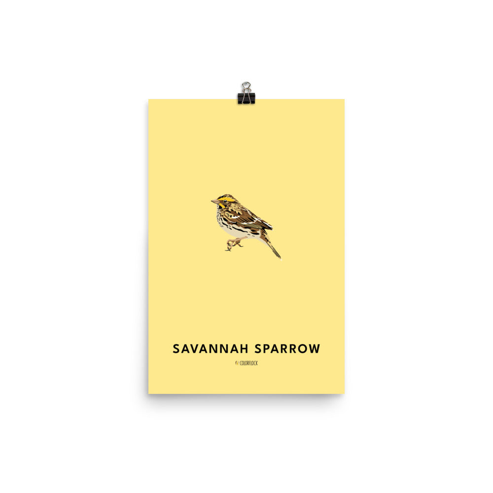 Savannah Sparrow Poster