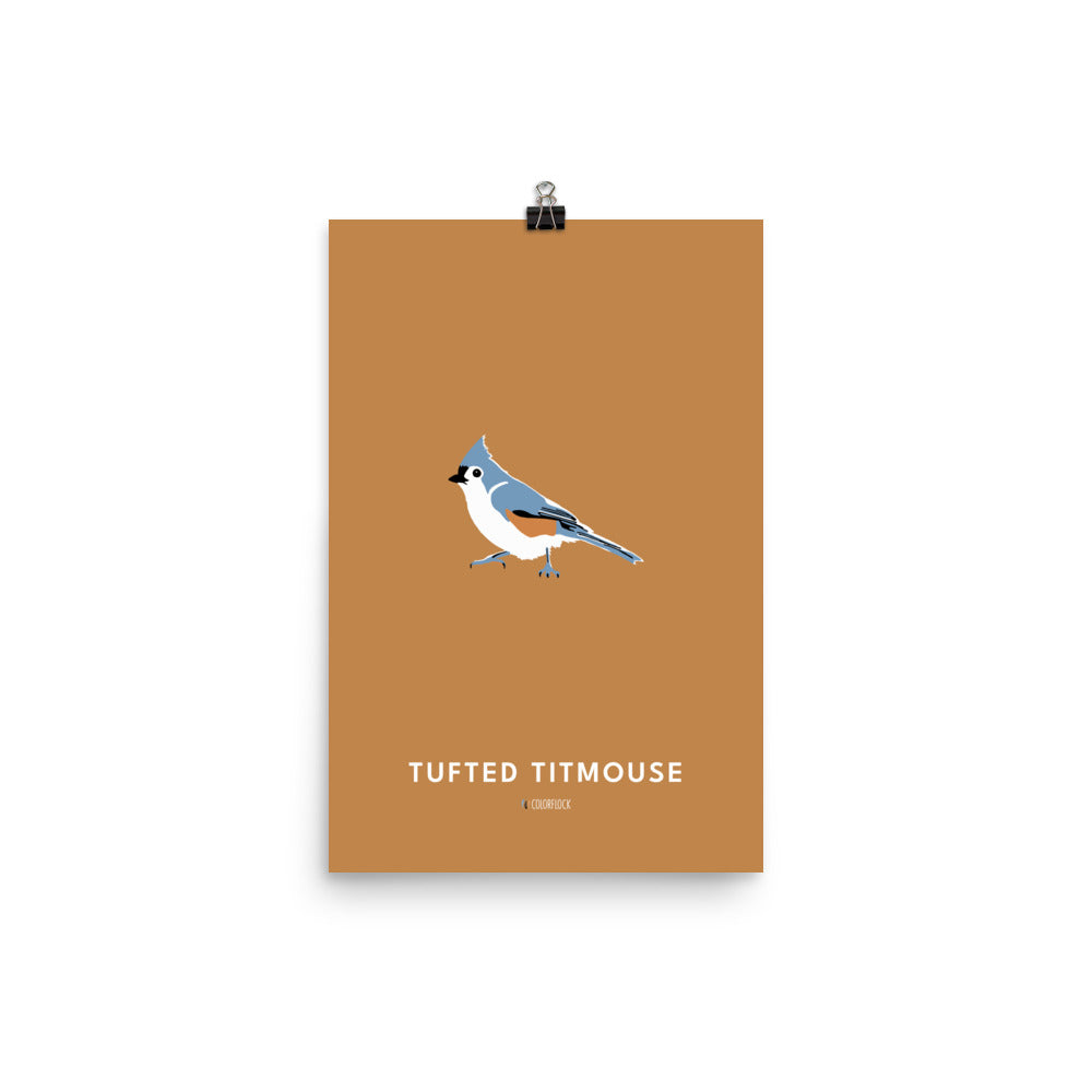 Tufted Titmouse Poster