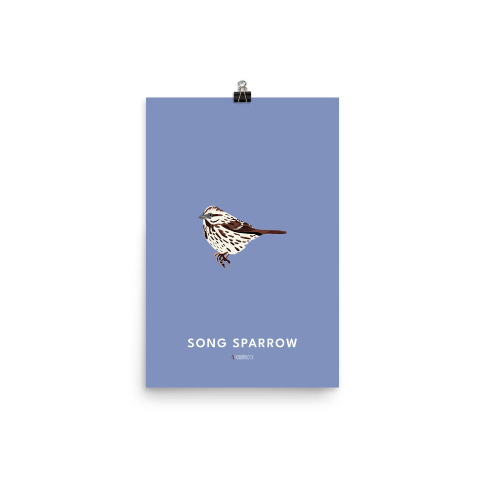 Song Sparrow Poster