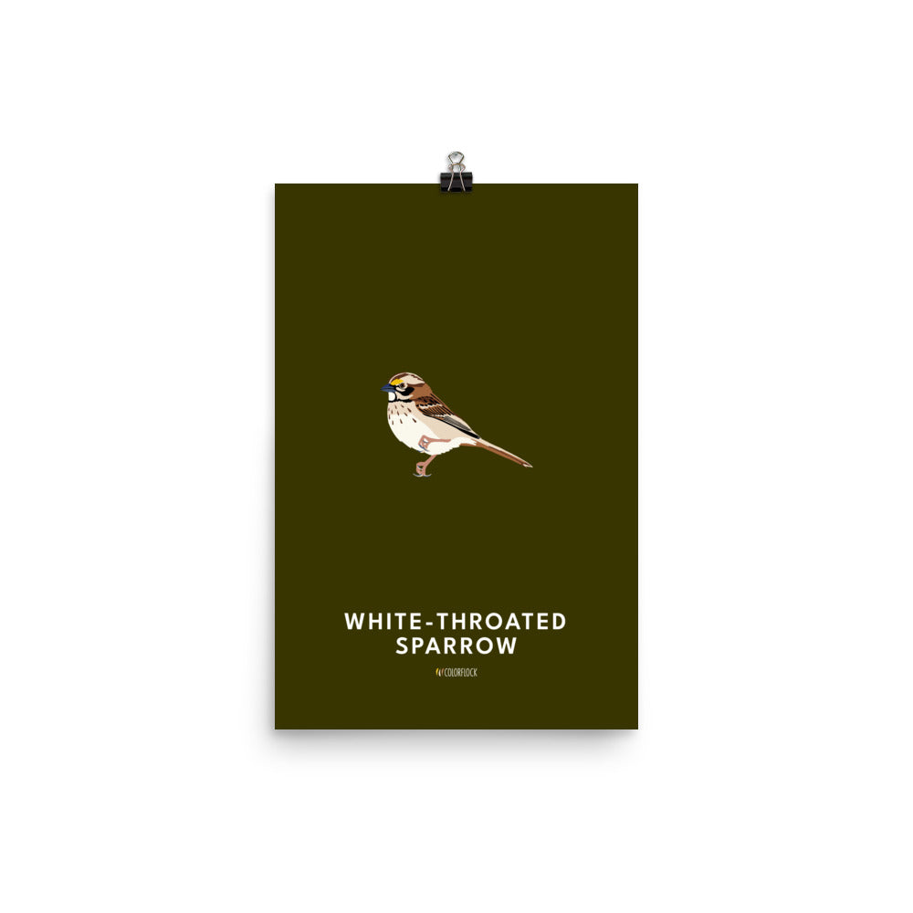 White-throated Sparrow Poster