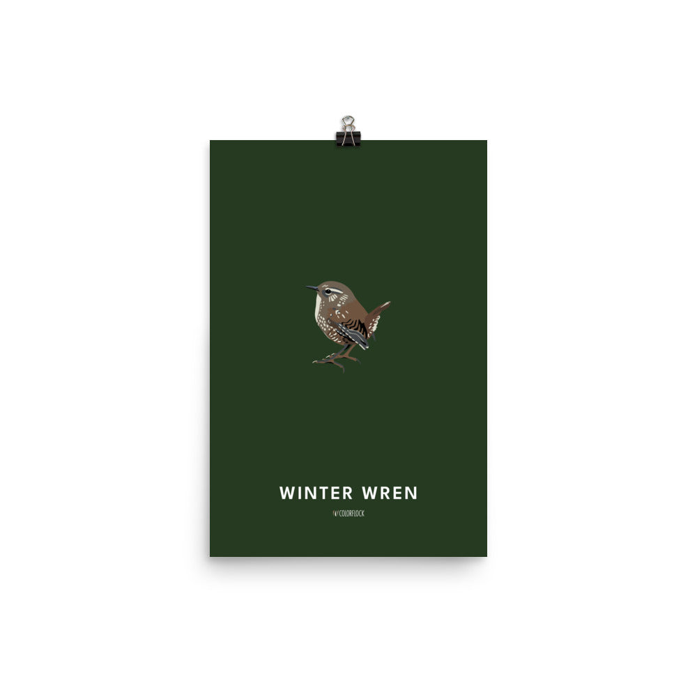 Winter Wren Poster