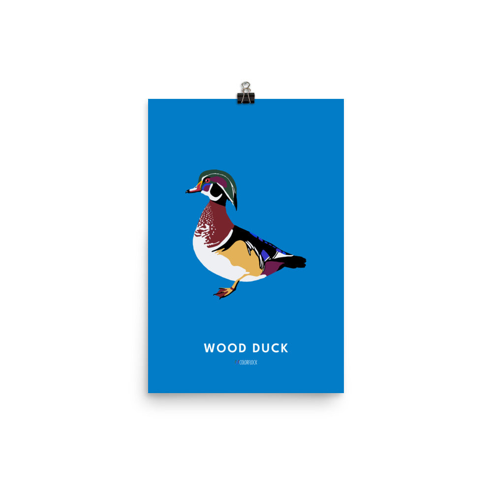 Wood Duck Poster