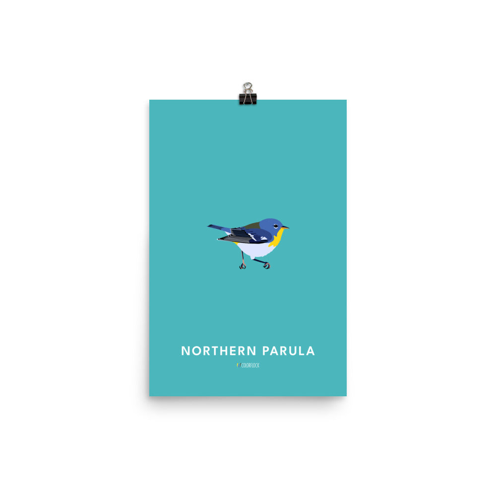 Northern Parula Poster