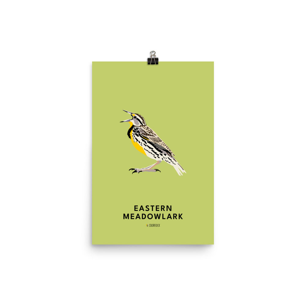 Eastern Meadowlark Poster