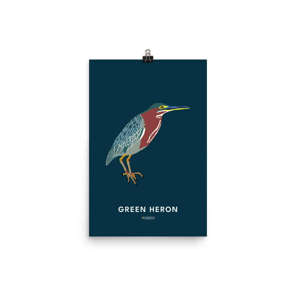 Green Heron Poster