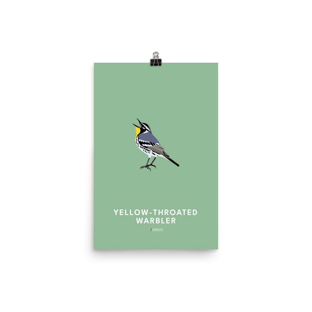 Yellow-throated Warbler Poster