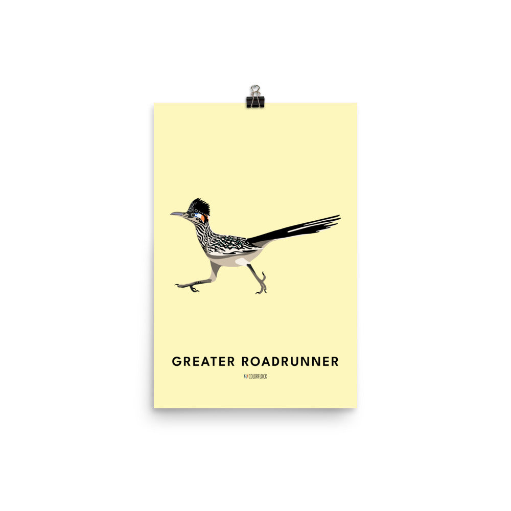 Greater Roadrunner Poster