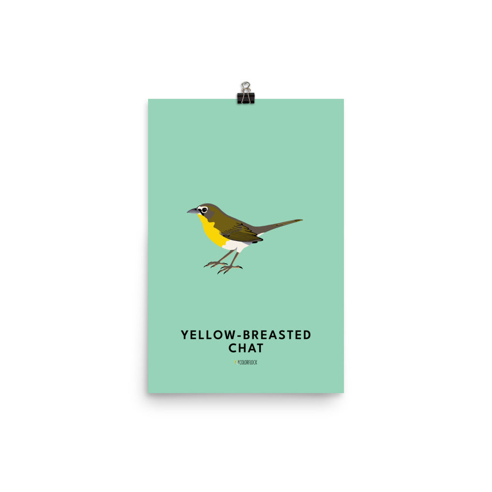 Yellow-breasted Chat Poster