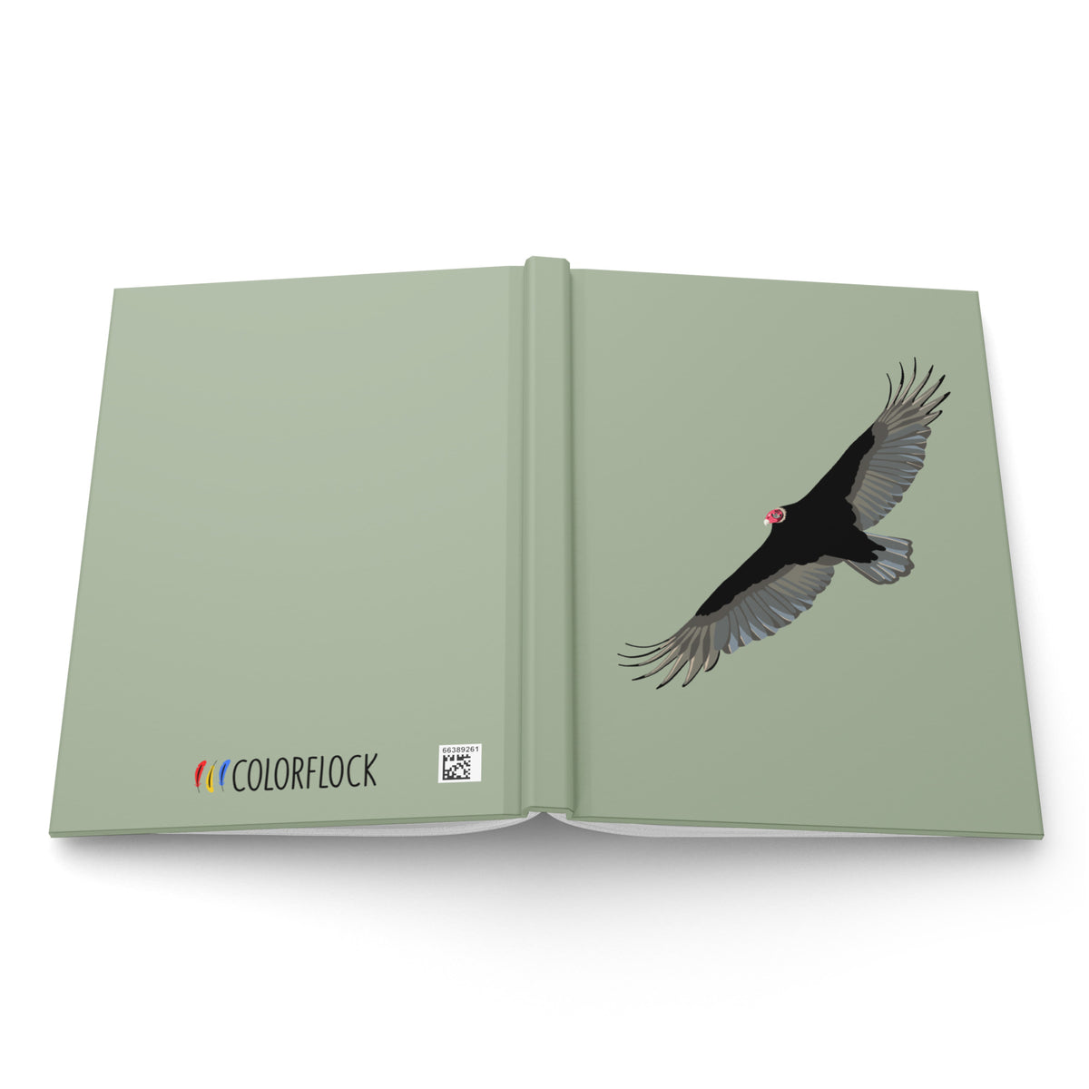 Turkey Vulture Journal