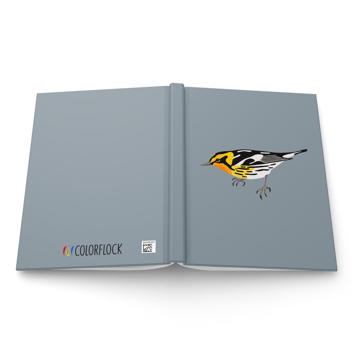 Blackburnian Warbler Journal