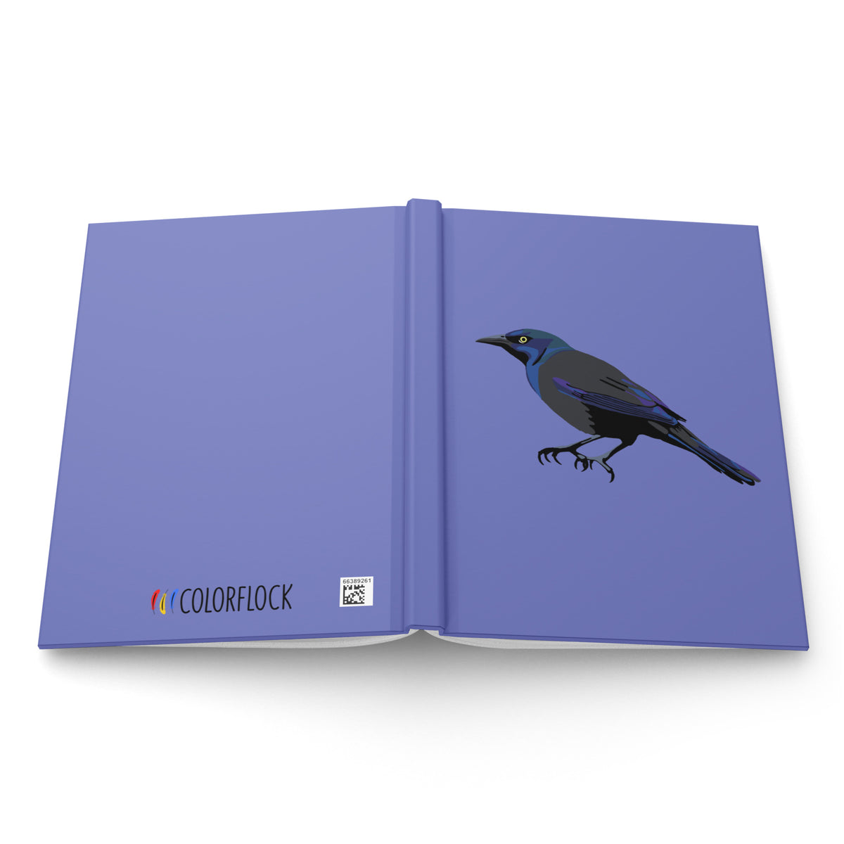 Common Grackle Journal