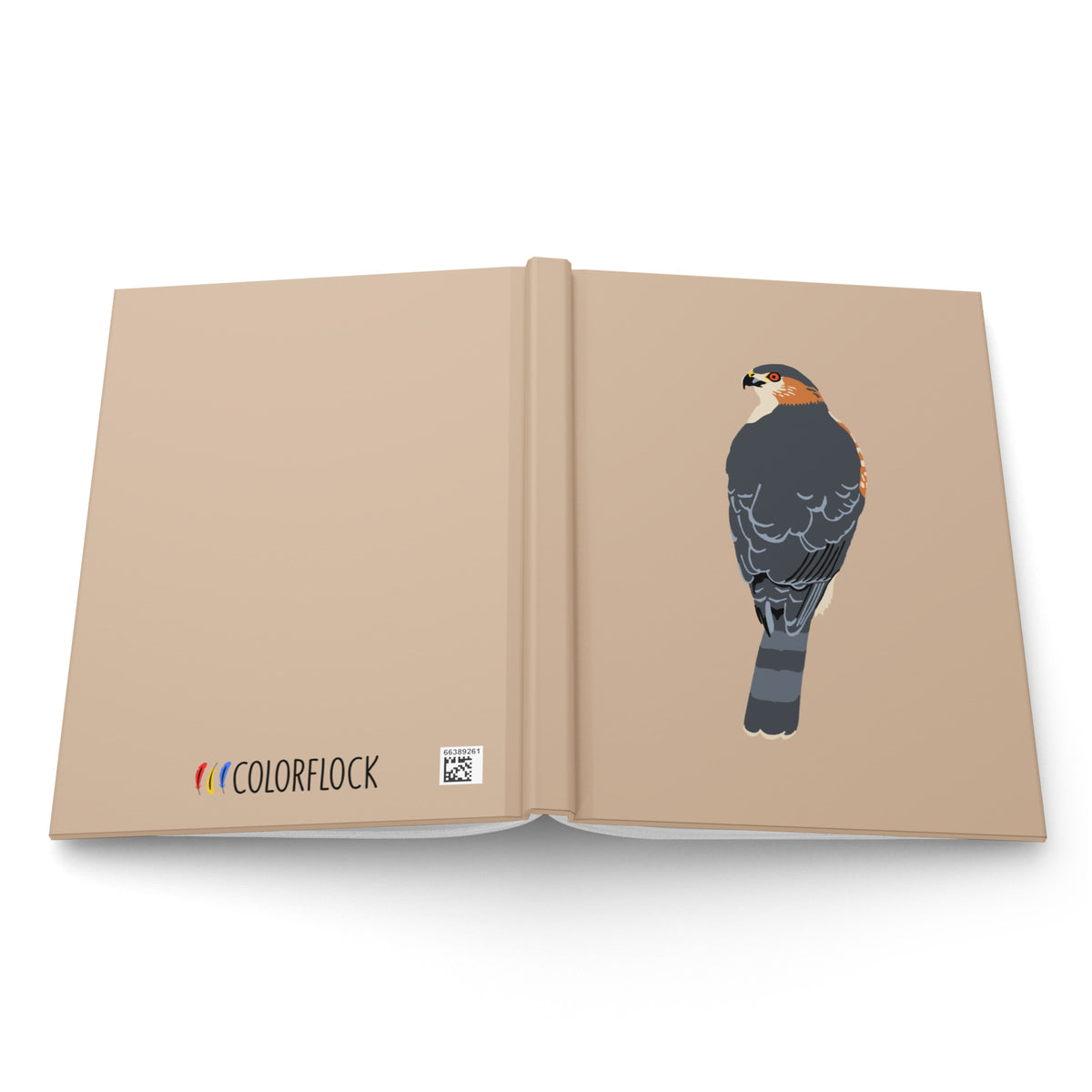 Cooper's Hawk Journal