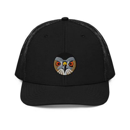 coopers-hawk-black