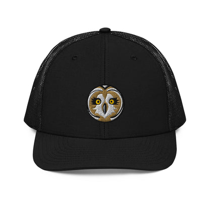 short-eared-owl-black