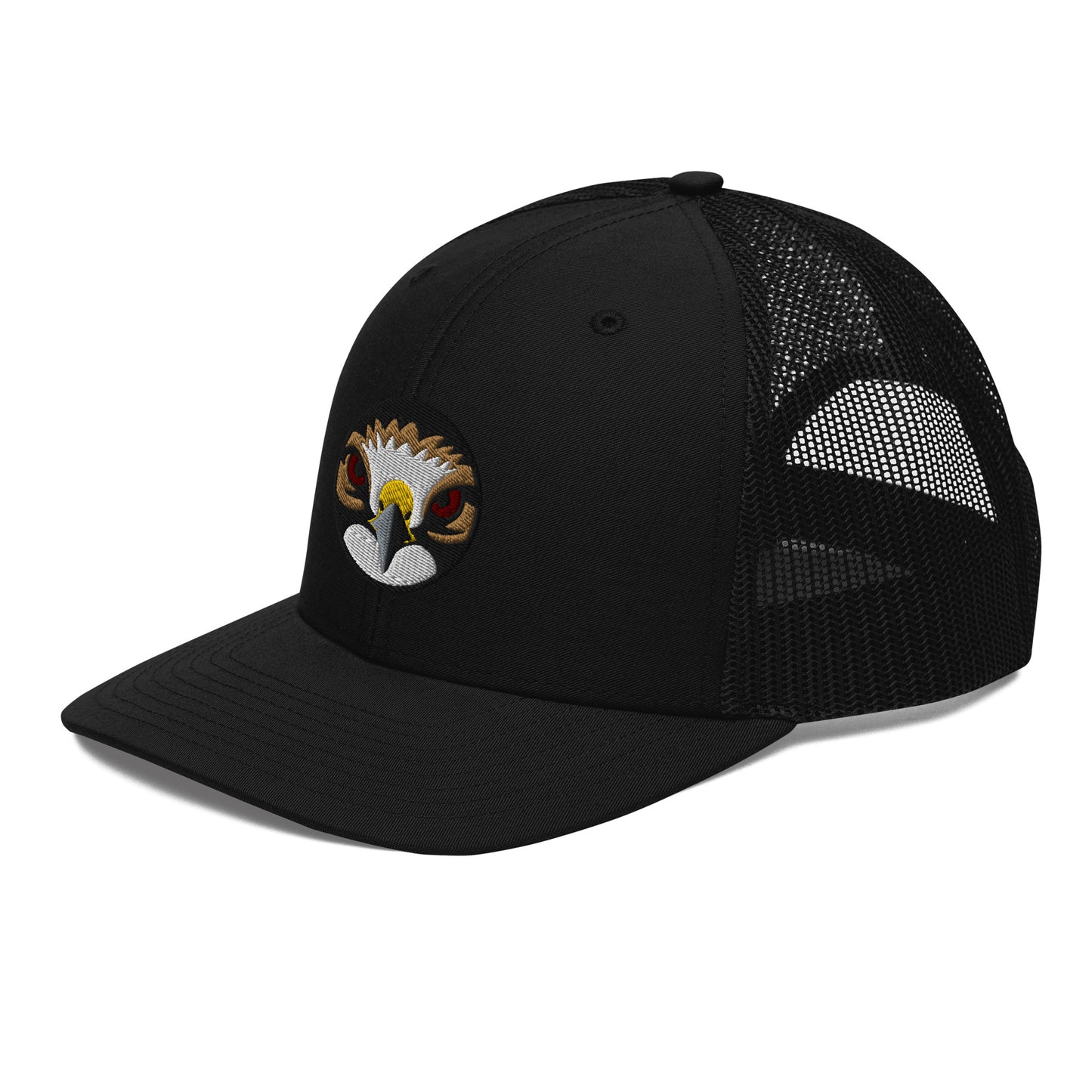 swainsons-hawk-black