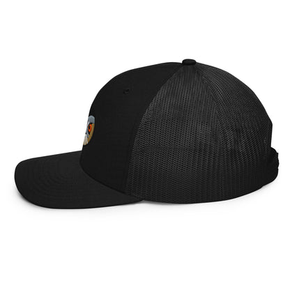 coopers-hawk-black