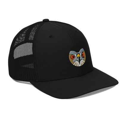 coopers-hawk-black
