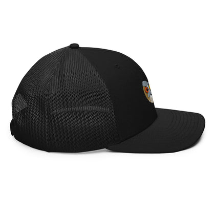 coopers-hawk-black