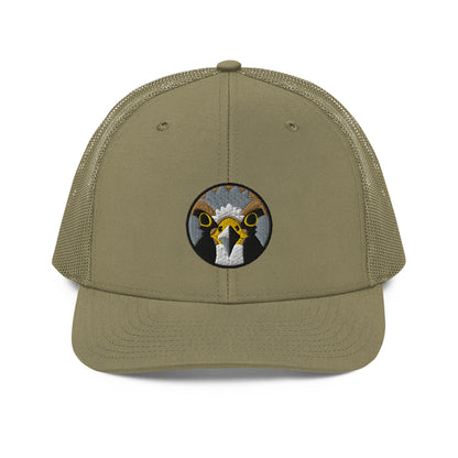 peregrine-falcon-loden