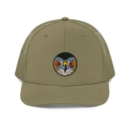 coopers-hawk-loden