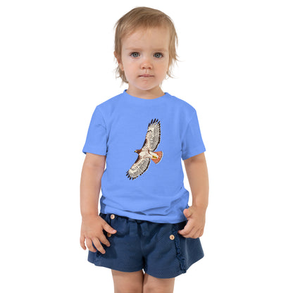 heather-columbia-blue
