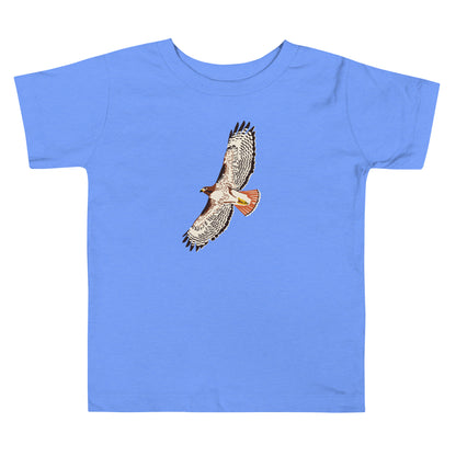 heather-columbia-blue