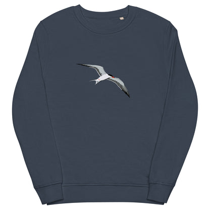 french-navy